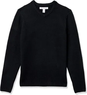 Amazon Essentials Men's Long-Sleeve Soft Touch V-Neck Sweater
